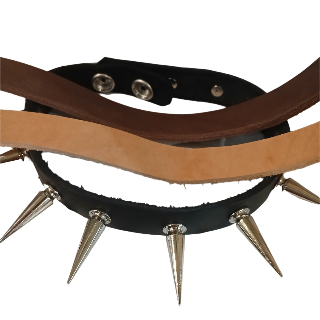 STLW 3/4" Leather Collar Blank Drilled for 17 Studs (XL-18"-19")