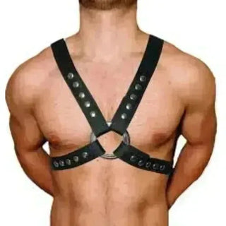 Submission Harnesses