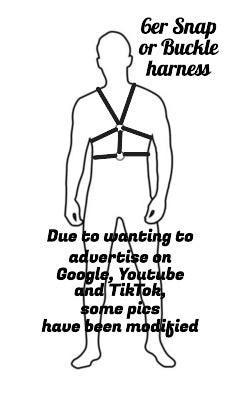 6er Buckle Harnesses