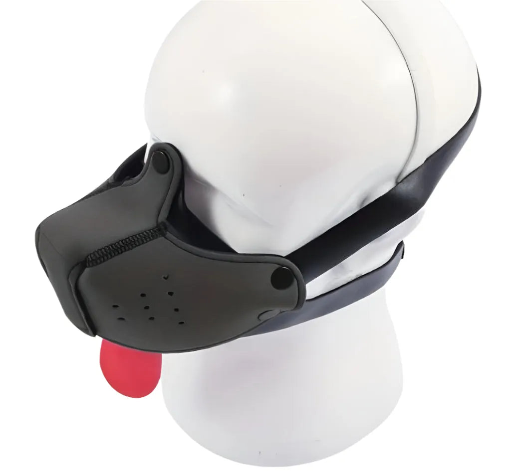 Pup Jowels Black