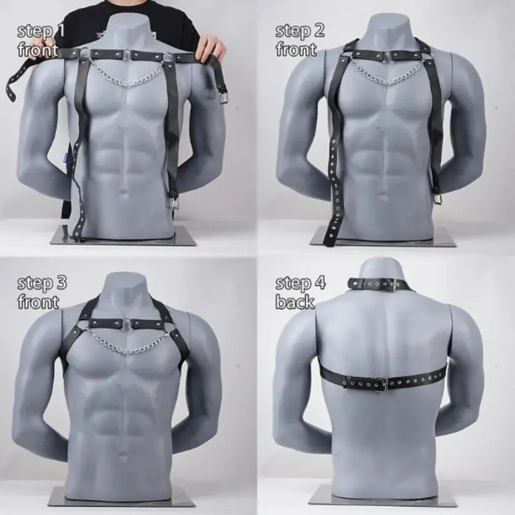 "STLW" Leather Harness w/Collar