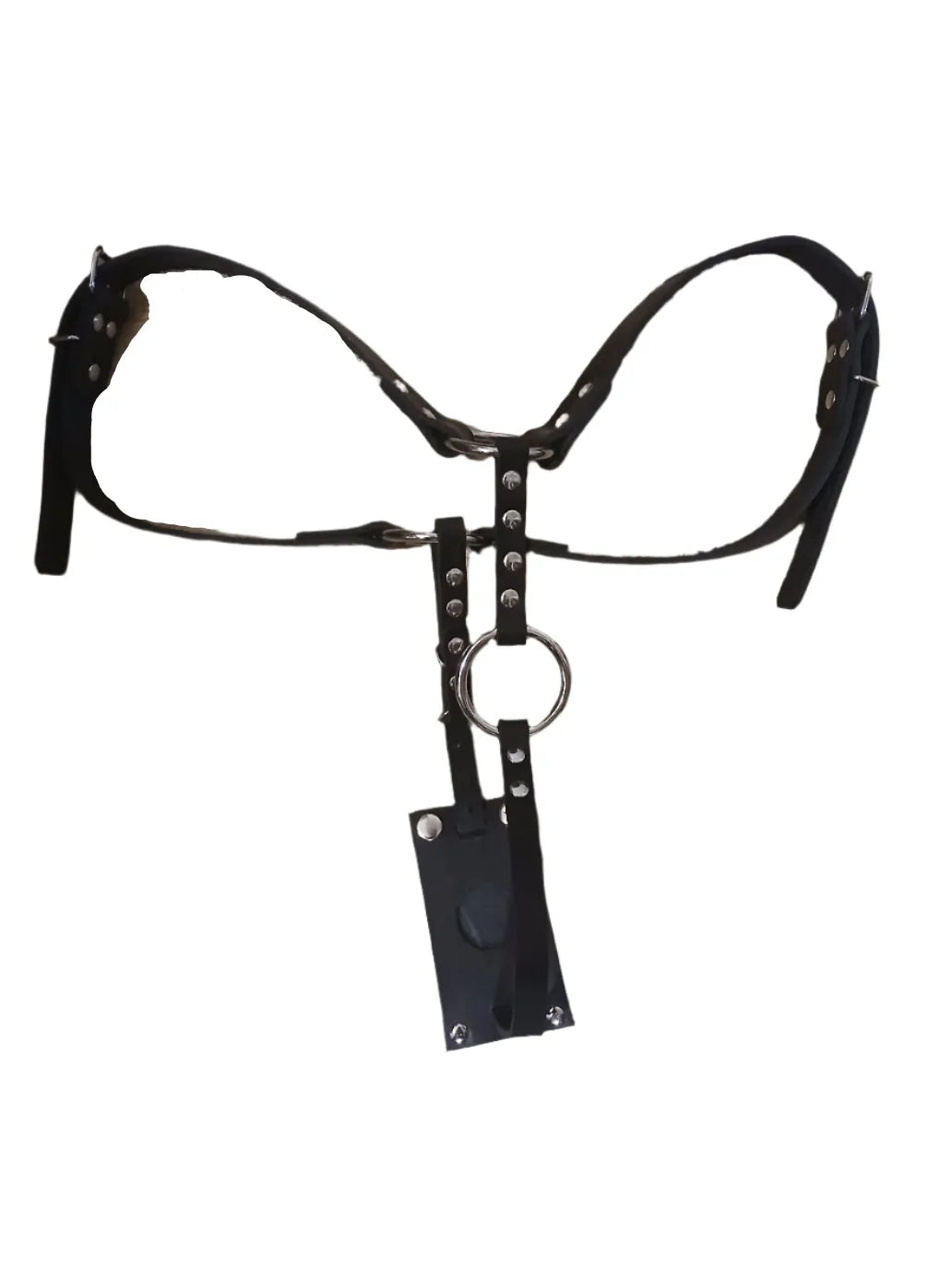 "STLW" Leather Chastity Harness