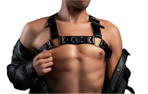 "STLW" Bulldog Buckle Harness
