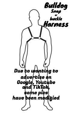 Harnais 4 points + (S)