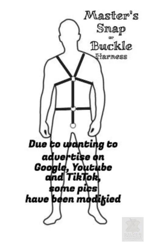 "STLW" Leather Masters Snap Harness