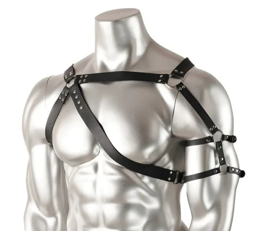 STLW Shoulder Harness